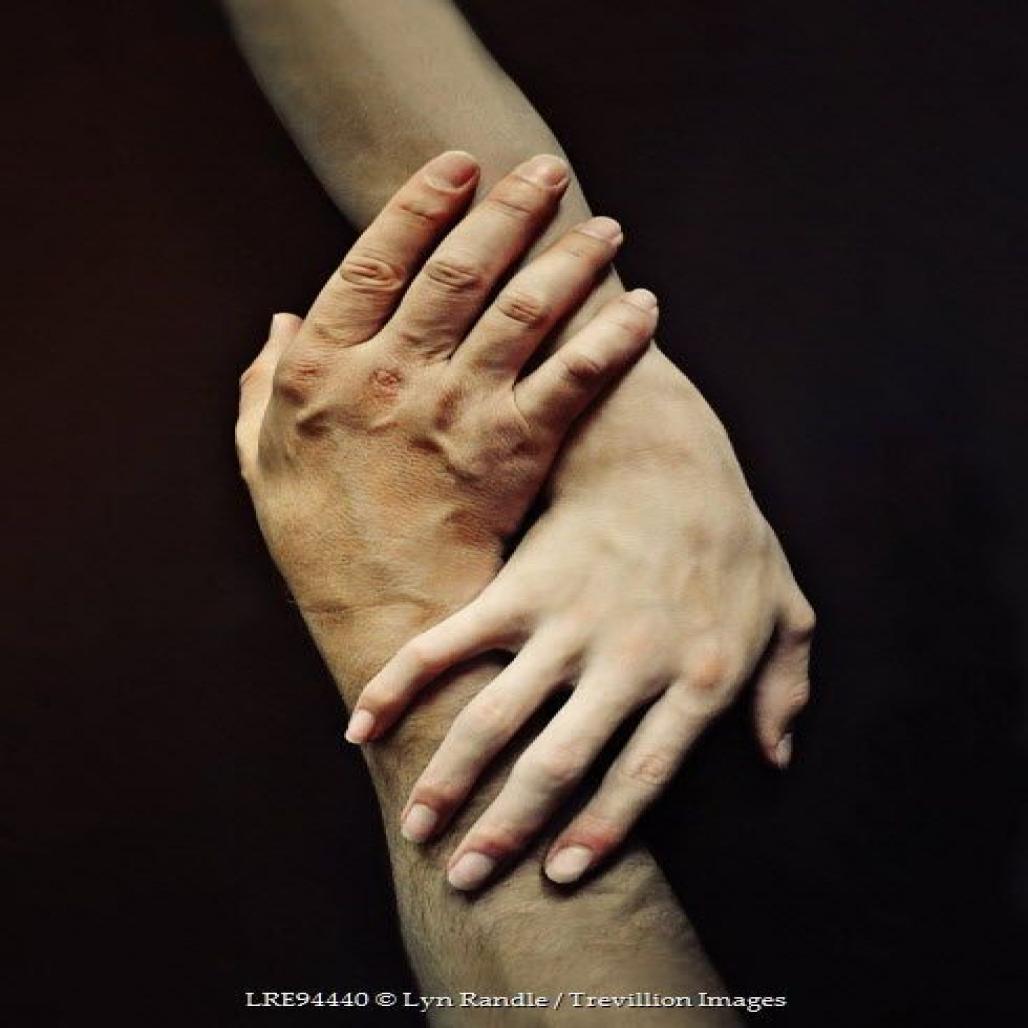 Dataset Image
