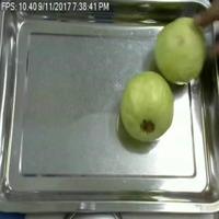 Dataset Image