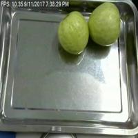 Dataset Image