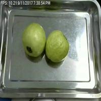 Dataset Image