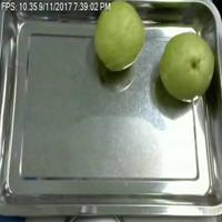 Dataset Image