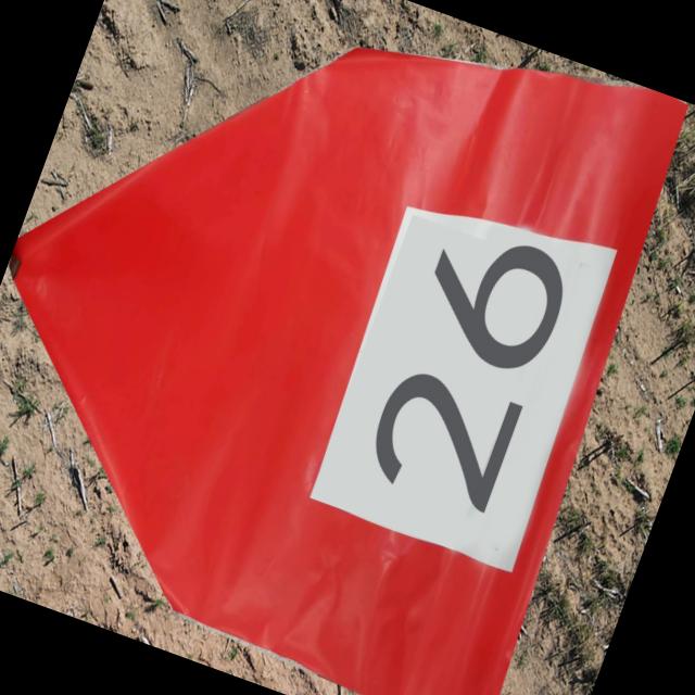 Dataset Image