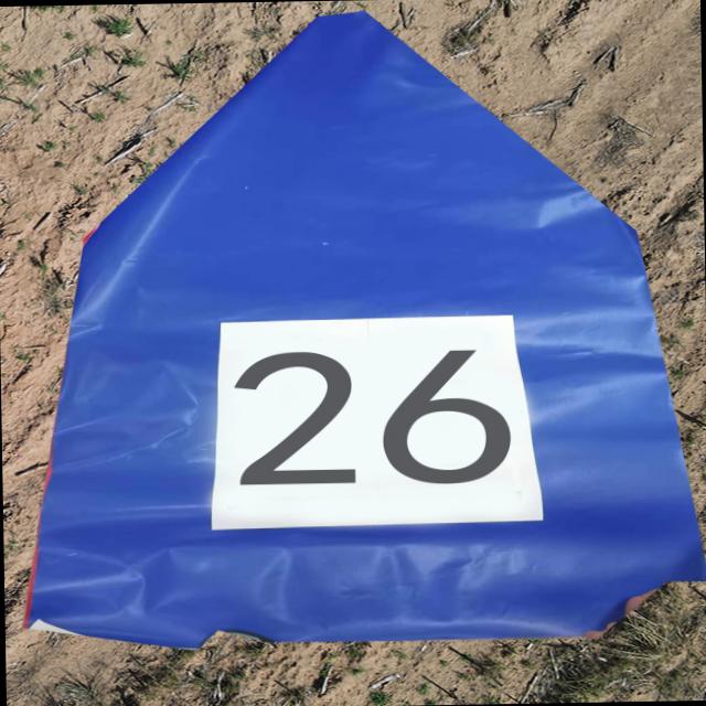 Dataset Image