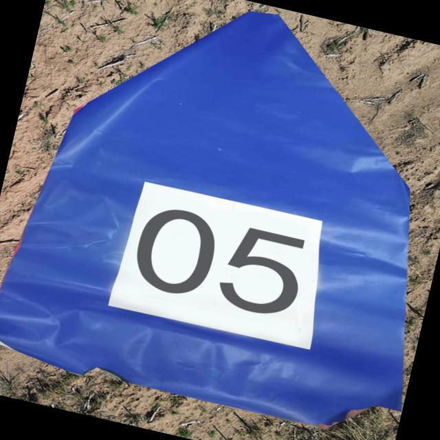 Dataset Image