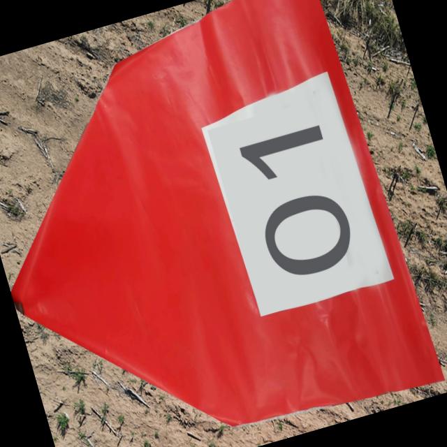 Dataset Image