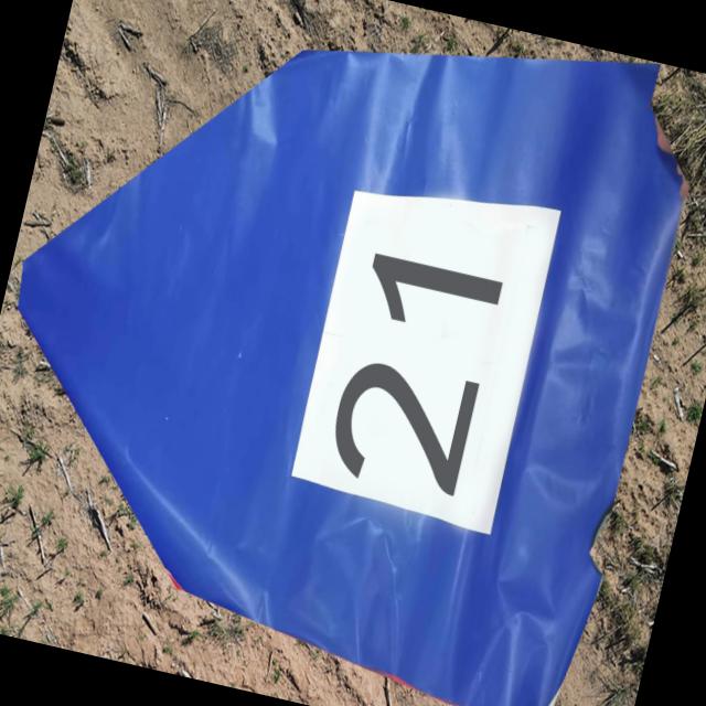 Dataset Image