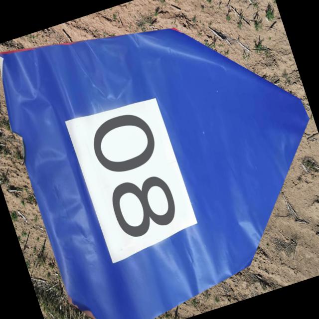 Dataset Image