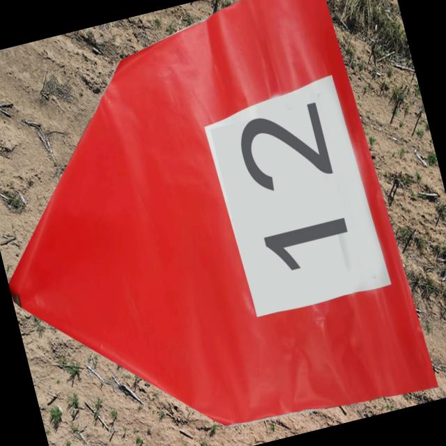 Dataset Image