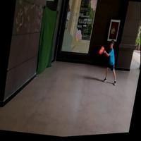 Dataset Image