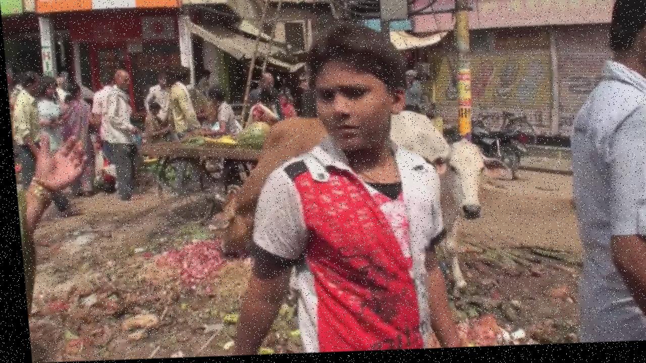 Dataset Image