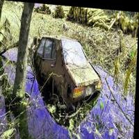 Dataset Image