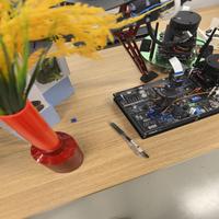 Dataset Image