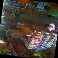 Dataset Image