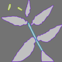 Annotation Visualization