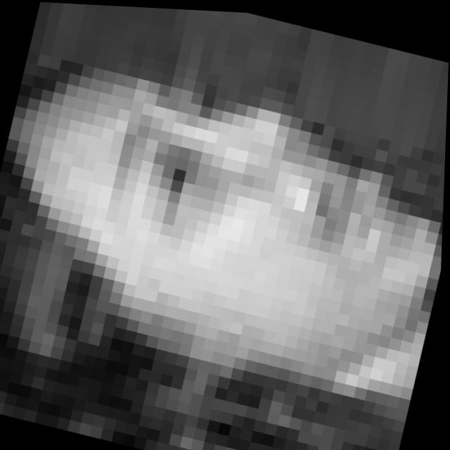 Dataset Image