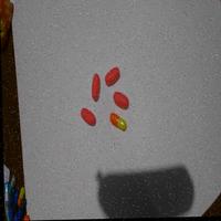 Dataset Image