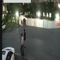 Dataset Image