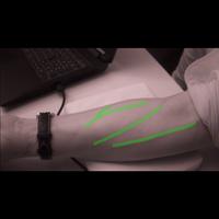 Dataset Image