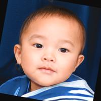 Dataset Image
