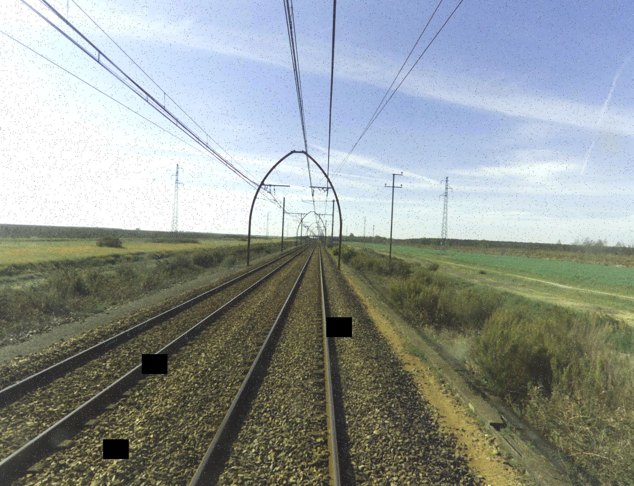 Dataset Image