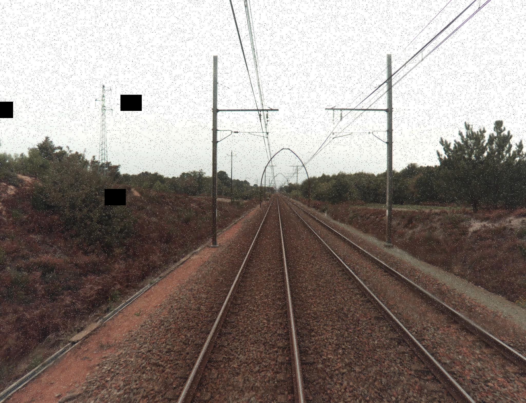 Dataset Image