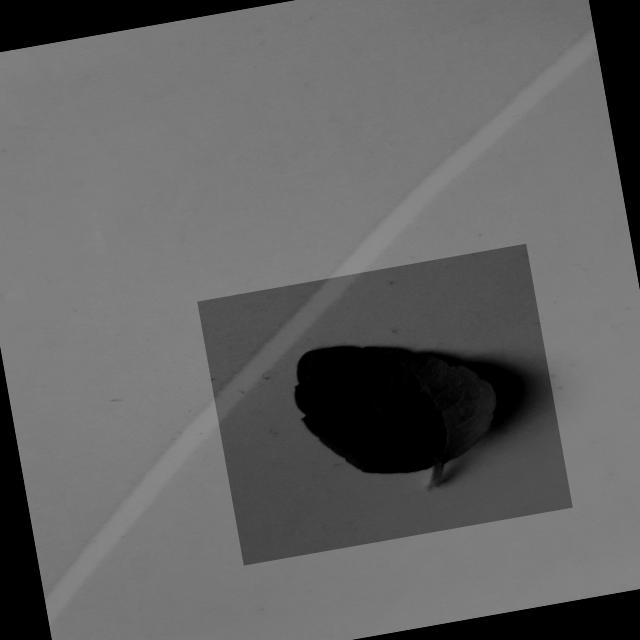 Dataset Image