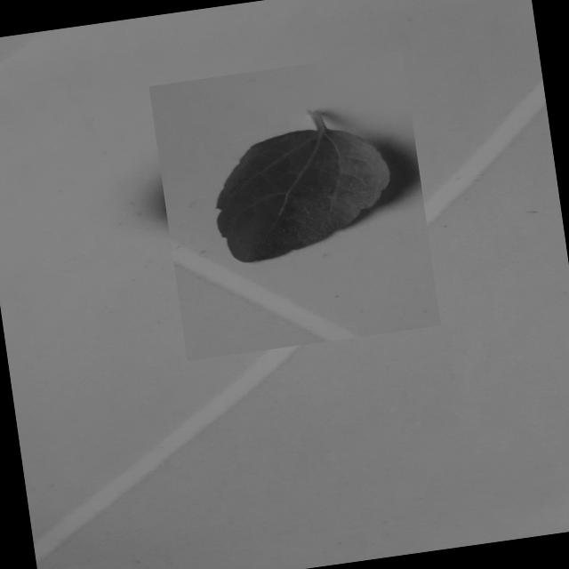 Dataset Image