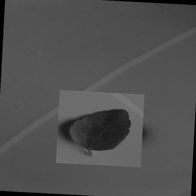 Dataset Image