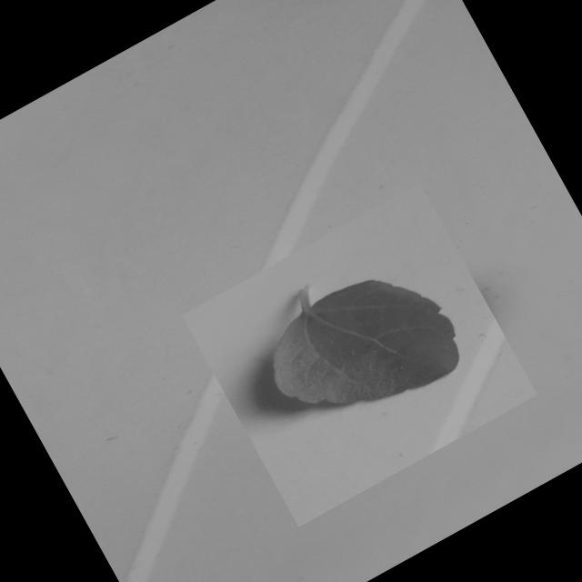Dataset Image