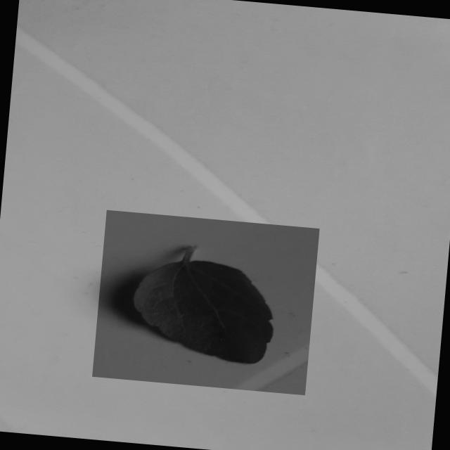 Dataset Image