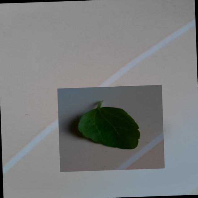 Dataset Image