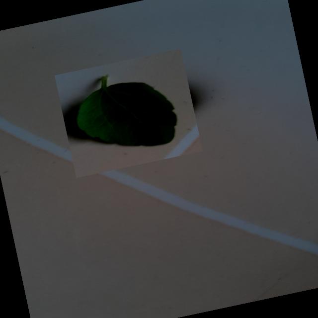 Dataset Image