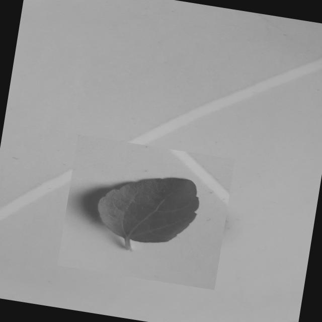 Dataset Image