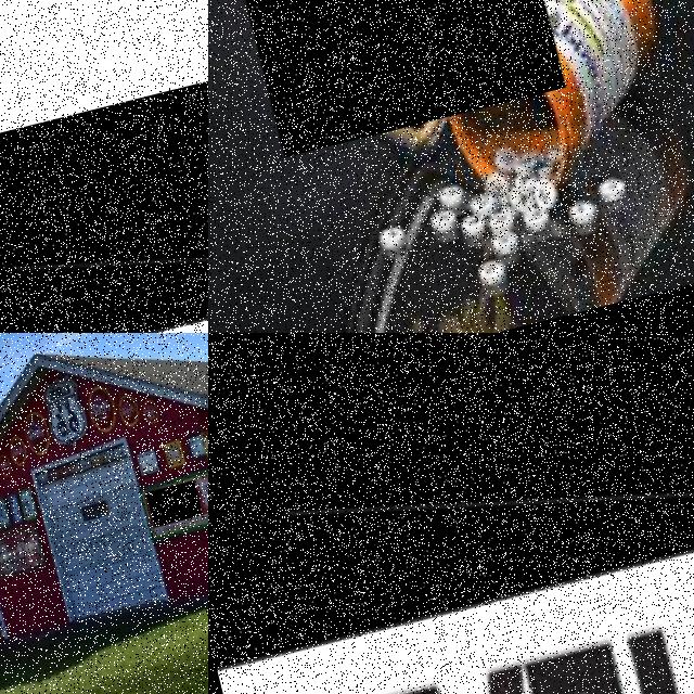 Dataset Image