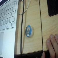 Dataset Image