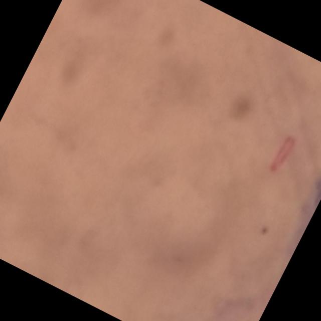 Dataset Image