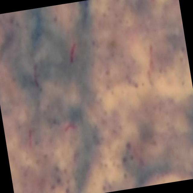Dataset Image