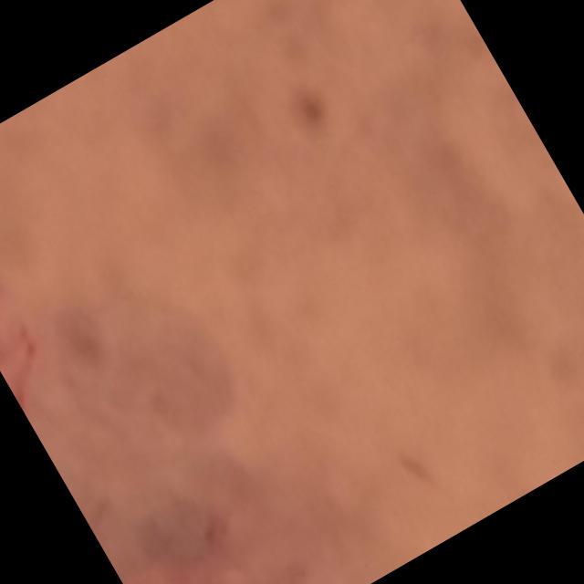 Dataset Image