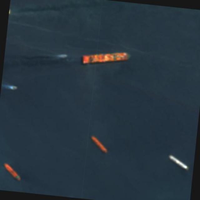 Dataset Image