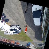 Dataset Image