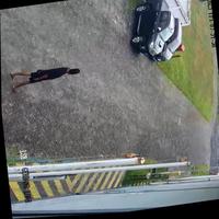 Dataset Image