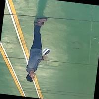 Dataset Image
