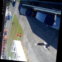 Dataset Image