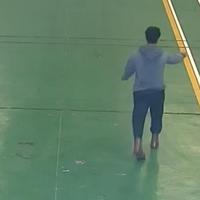 Dataset Image