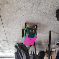 Dataset Image