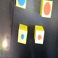 Dataset Image