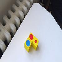 Dataset Image