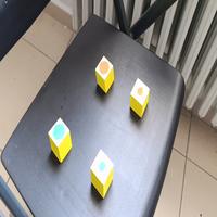 Dataset Image