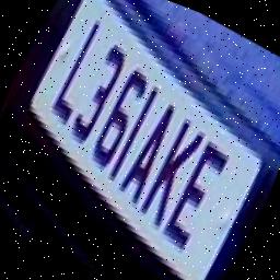 Dataset Image
