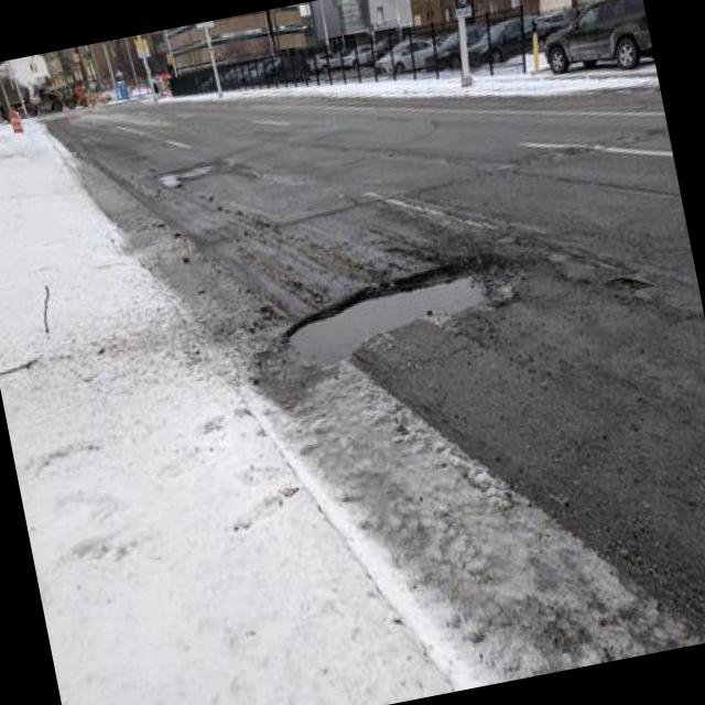 Dataset Image